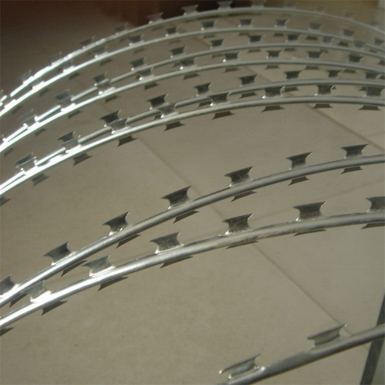 刀刺網案例展示圖片1 刀刺網案例展示圖片1